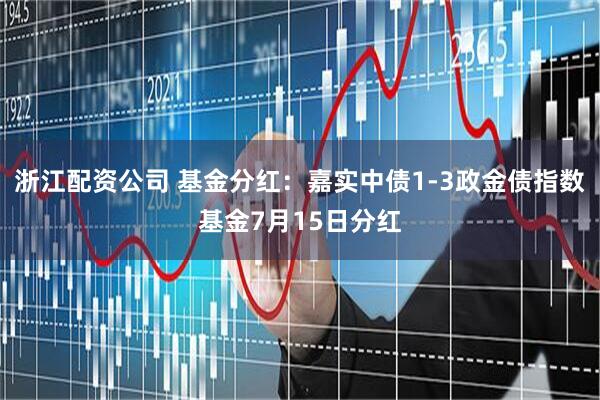 浙江配资公司 基金分红：嘉实中债1-3政金债指数基金7月15日分红