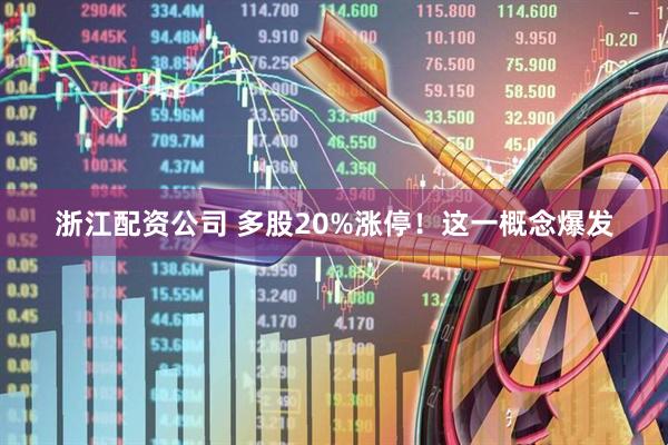 浙江配资公司 多股20%涨停！这一概念爆发