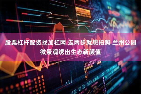 股票杠杆配资找加杠网 走两步就想拍照 兰州公园微景观绣出生态新颜值